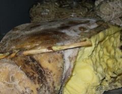 butter in yak stomach - Tibet