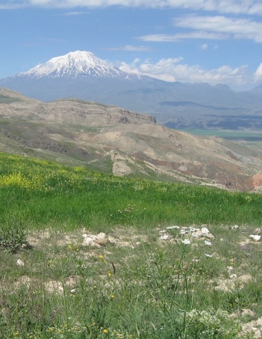 Mt. Ararat, June 2013